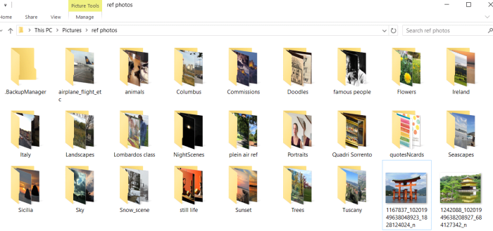 La carpeta de fotos de referencia en mi computadora portátil tiene varias subcarpetas que mantienen las imágenes organizadas por tema.