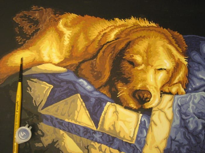 Perro durmiendo: juego de pintura acrílica por números