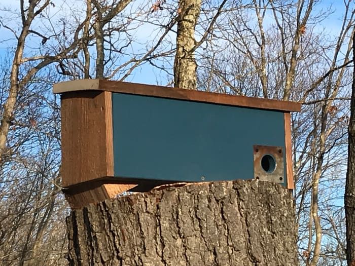 Una caja de descanso de invierno protege a las aves del frío, el viento y la lluvia.