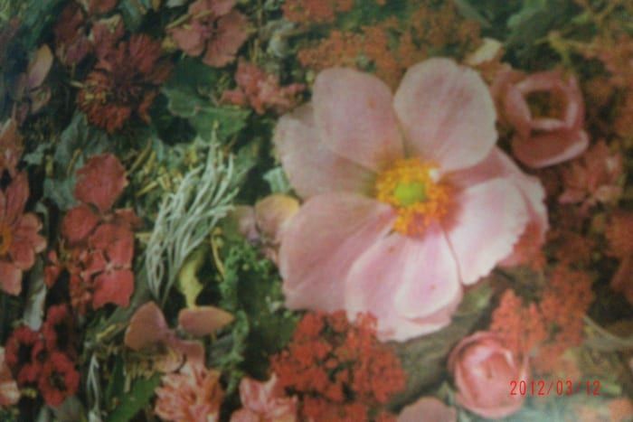 Konservieren von Blumen auf sechs Arten zum Trocknen von Blumen