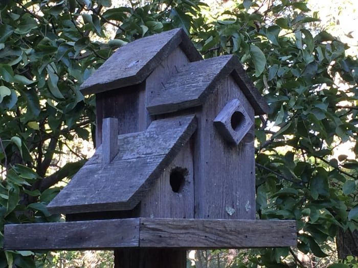 Издрели и остарели станови за вишепородичне кућице за птице