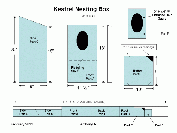 Načrti DIY Kestrel Nest Box