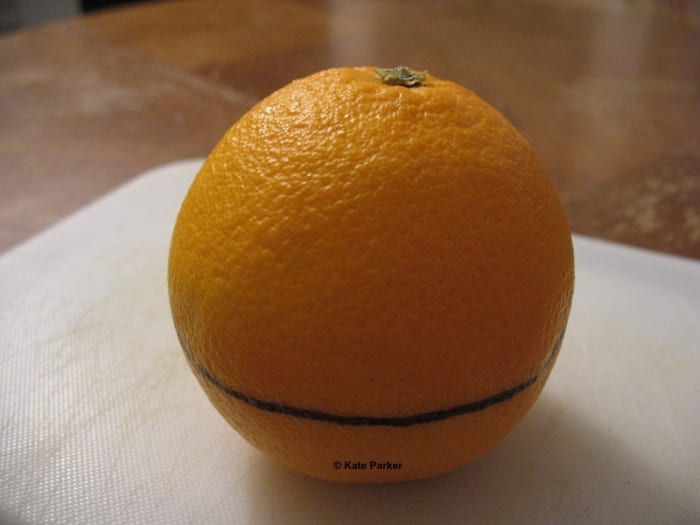 Markieren Sie eine Linie um den Umfang der Orange / Zitrusfrucht