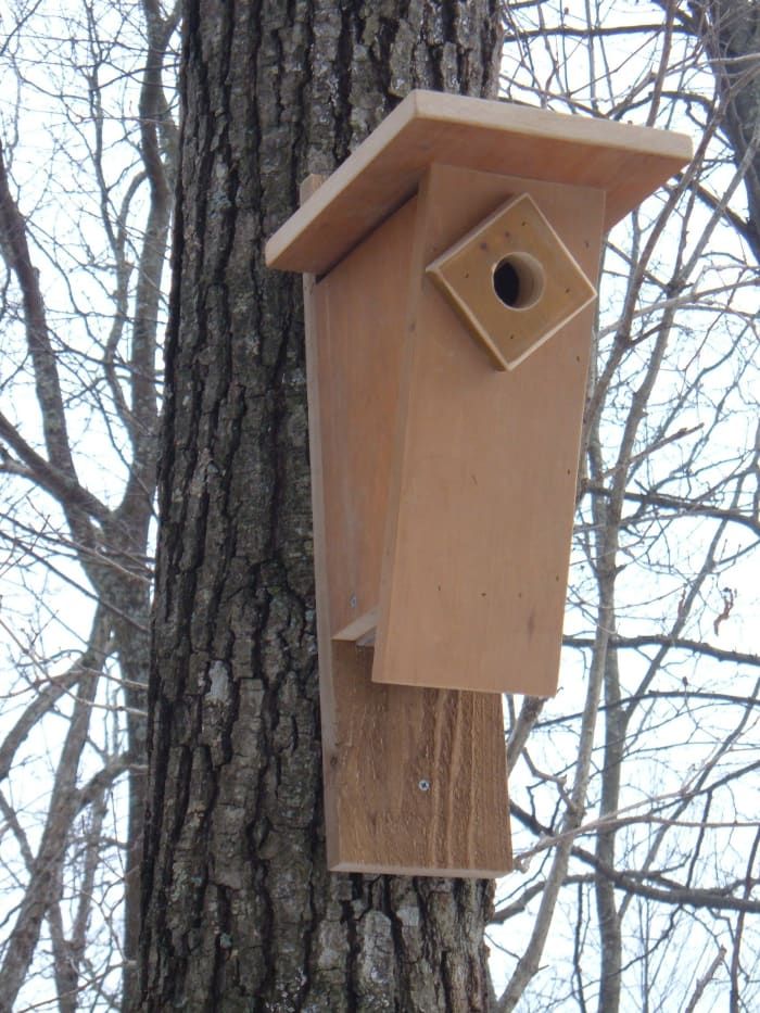 Kako zgraditi hišo modrih ptic v slogu Peterson Slant-Front