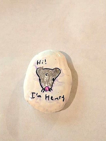 Henry le rocher de la gentillesse est maintenant prêt à sortir dans le monde pour répandre la gentillesse et l
