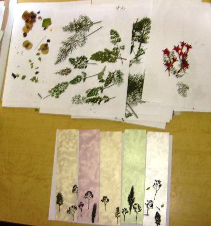 Veliko strani stisnjenih listov in cvetov razporedite tako, da imate med ustvarjanjem paleto oblik in barv.
