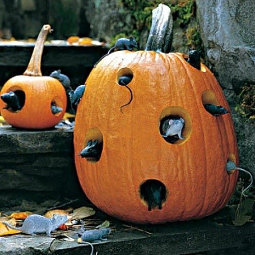 30 Creepy Outdoor DIY Halloween amatniecība