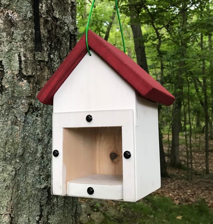 Spy Window Nest Box (Rückansicht)