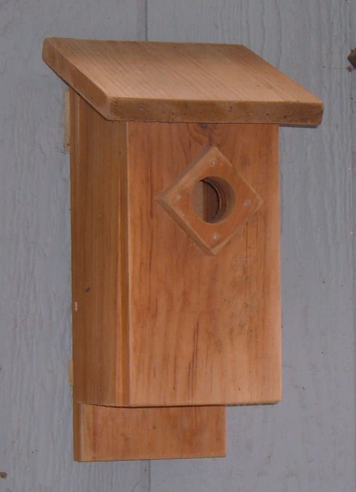 Hvordan bygge et Bluebird-hus: Nest Box-planer