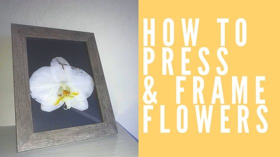 Как да натиснете и рамкирате цветя