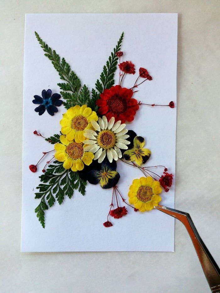 A arte básica da prensagem de flores