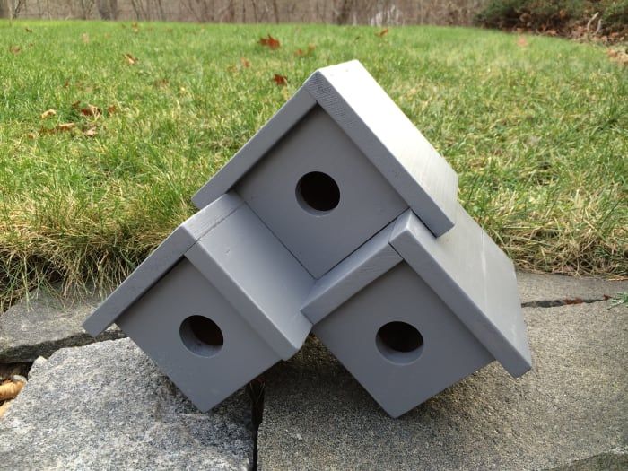 Идеи за къщички за птици: Три планове за домашни птици за домашни любимци