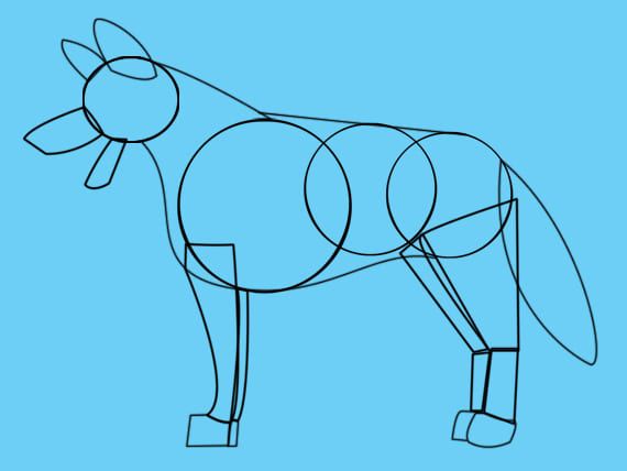 wie man einen Cartoon-Hund-semi-realistisch zeichnet