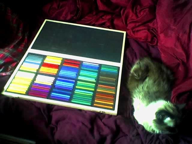 Foto meines neuen 120-Farben-Richeson-Hartpastell-Holzkastensets mit meiner großen Katze Ari zum Größenvergleich. Es ist eine große Kiste! Robert A. Sloan