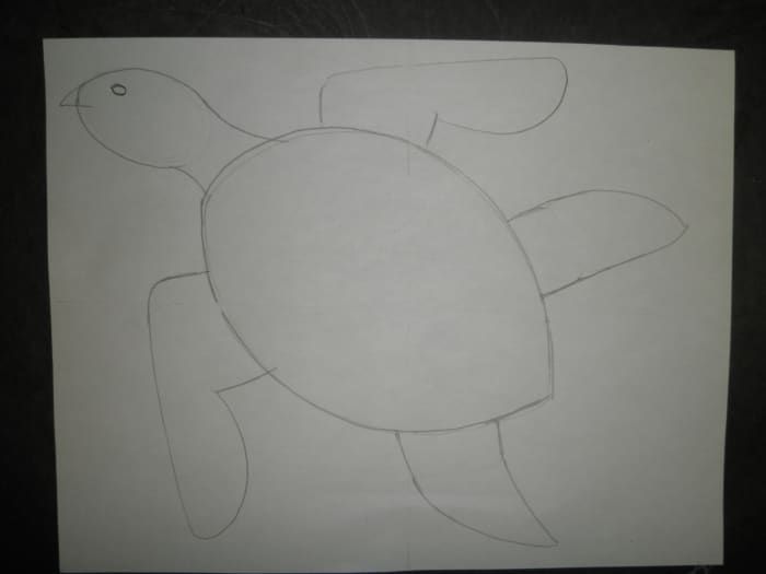 Étape 5: Comment dessiner une tortue de mer