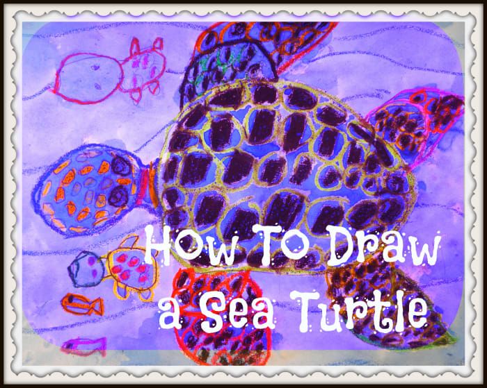 Kids Art Lesson: How to Draw a Sea Turtle