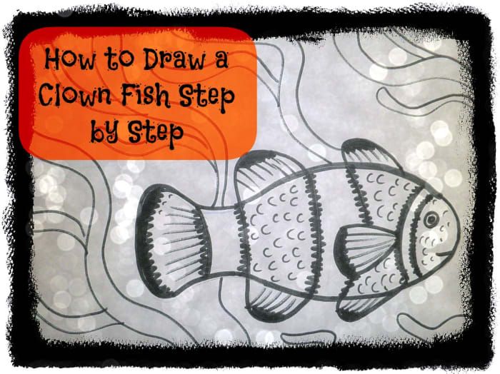 Kako pripraviti ribe klovna po korakih.