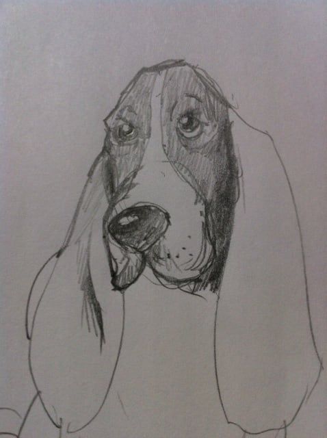 hur man ritar en basset-hund-hund