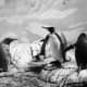   Image à colorier de pingouins