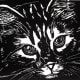 Unbenannter Katzengesichts-Linolschnitt von Peggy Woods