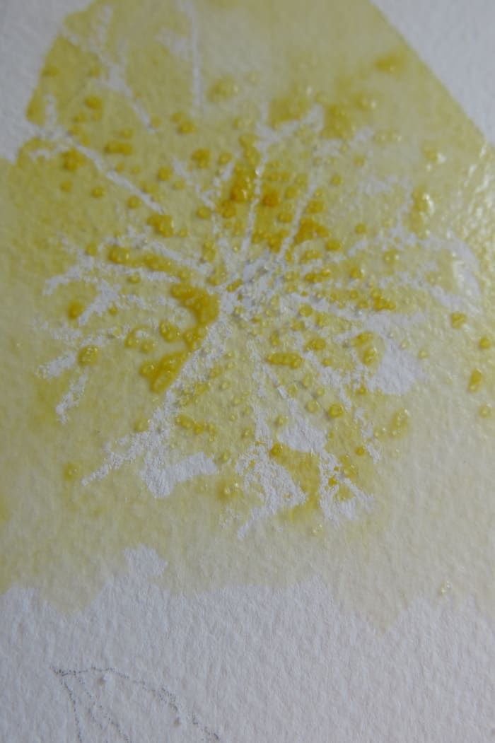 ¡Usar sal básica como resistencia en la pintura de acuarela es una técnica divertida para probar!