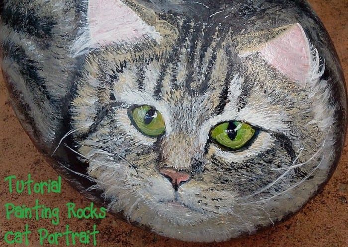 Как да рисуваме камъни: Котешки портрет