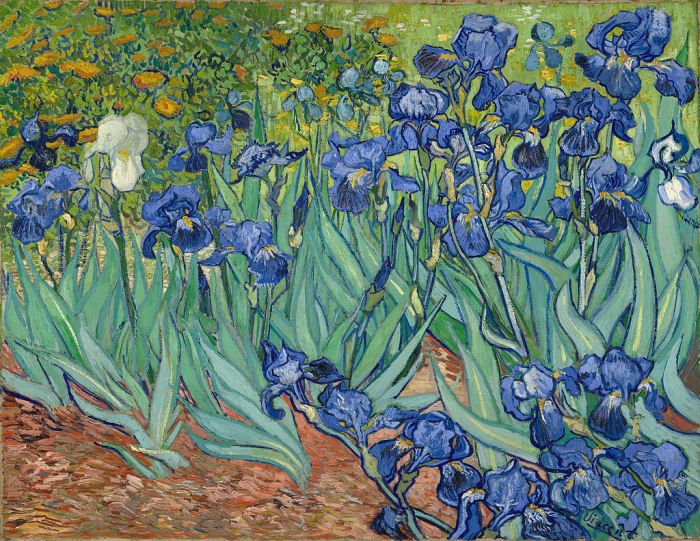 Tolles Gemälde von Vincent Van Gogh. Dicke Farbe, weniger Details im Hintergrund, großartige Komposition, Verwendung von Linien und Platzierung des Brennpunkts. Vincent van Gogh - Iris (1889)