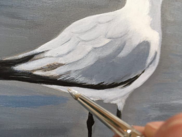 Peinture de détails fins sur le bord inférieur des plumes des ailes de la mouette.