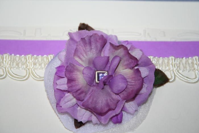 La flor aparece de color púrpura ciruela en esta foto antes de los ajustes.
