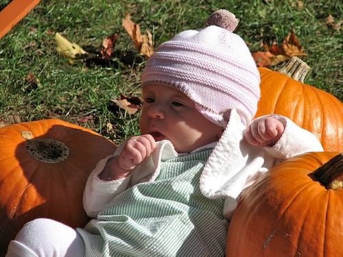 Ein Baby, das zwischen den Kürbissen sitzt, ist eine klassische Wahl für ein Herbst-Fotoshooting.