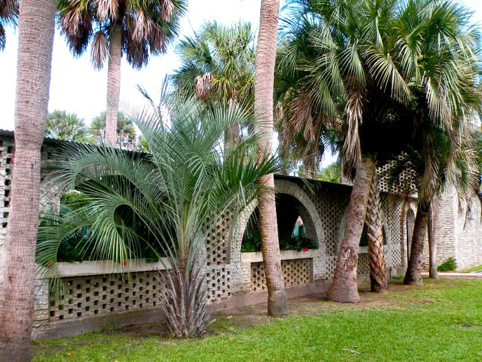 El patio sombreado por palmeras es un lugar popular para bodas.