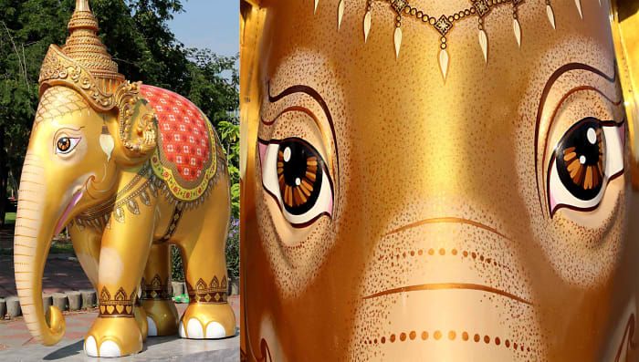 & apos; Royal Elephant Gold & apos; con su tocado real, tuvo un lugar de honor al frente del desfile del Parque Lumpini como un & apos; símbolo de auspiciosidad e inteligencia & apos;