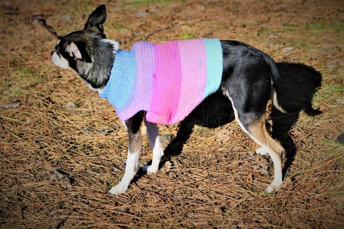Fairy Dust пуловер за кучета модел плетене на една кука