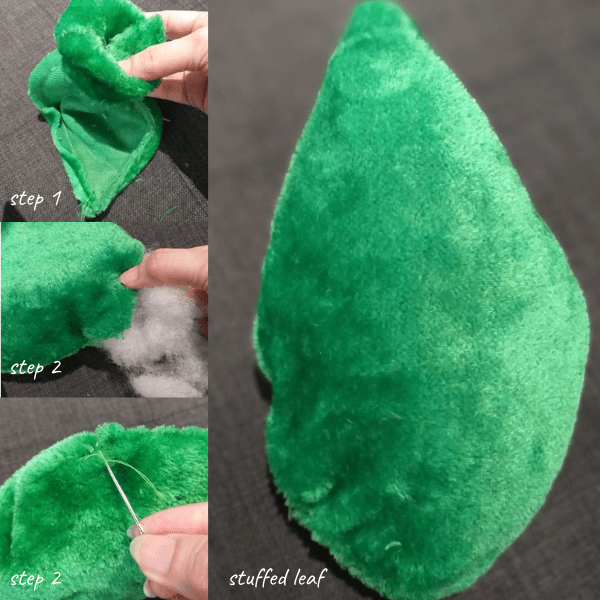 Schritt-für-Schritt-Anleitung, wie man riesige Sukkulenten-Kissen herstellt