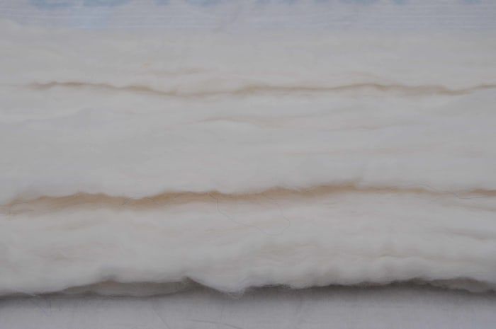 Mecha de lana sacada para hacer una sola hoja de lana blanca