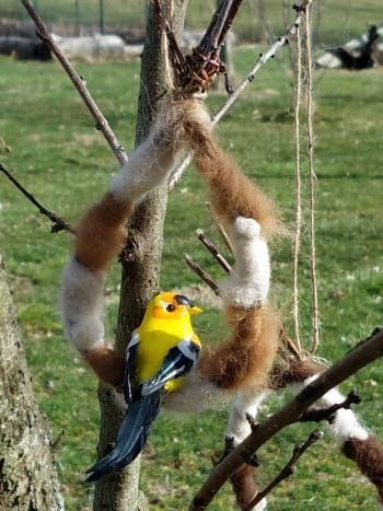 Ein Vogelnestkranz versorgt Wildvögel mit weichem, warmem Nistmaterial.